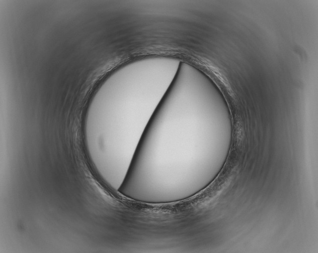 X0000111650633200907171059