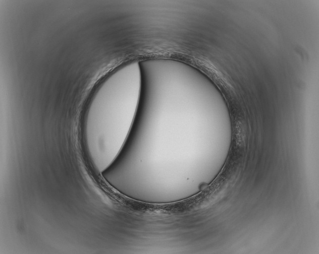 X0000111650634200907171059