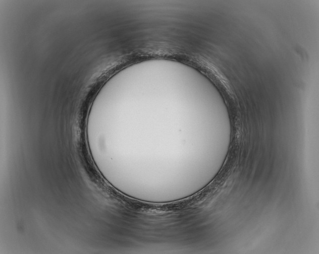 X0000111650635200907171059