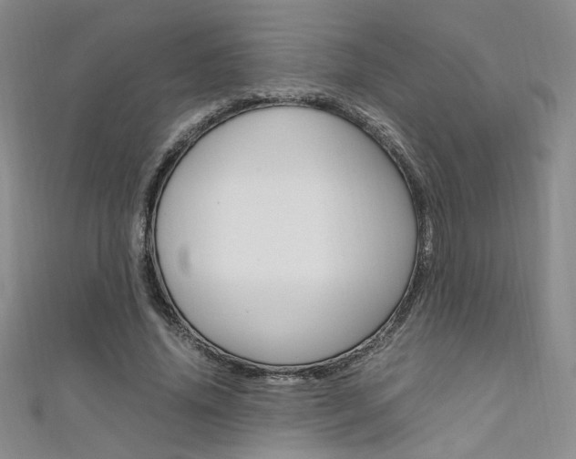 X0000111650636200907171059