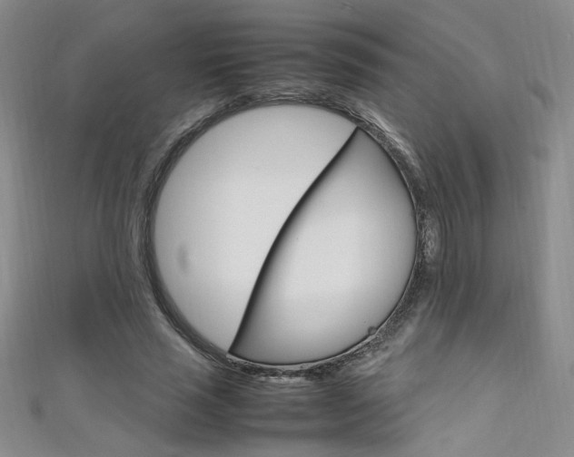 X0000111650637200907171059