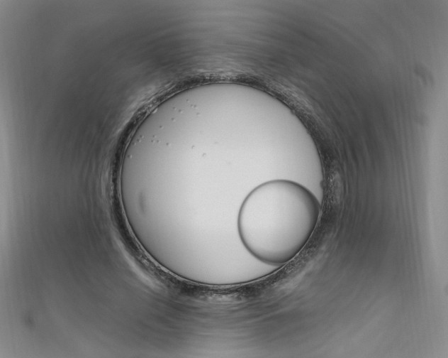X0000111650638200907171059