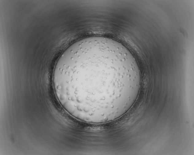 X0000111650639200907171059