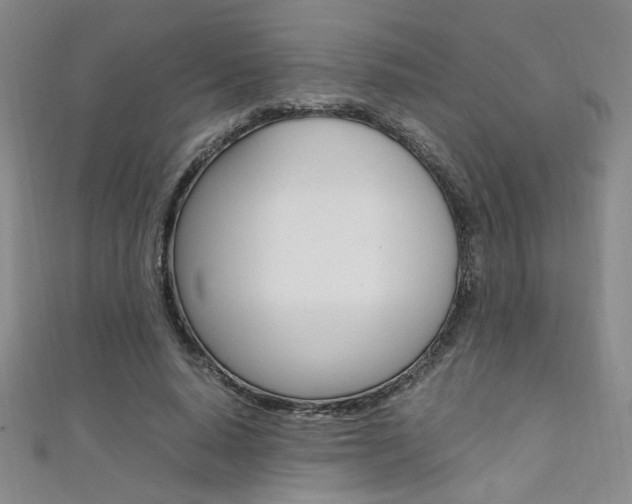 X0000111650640200907171059