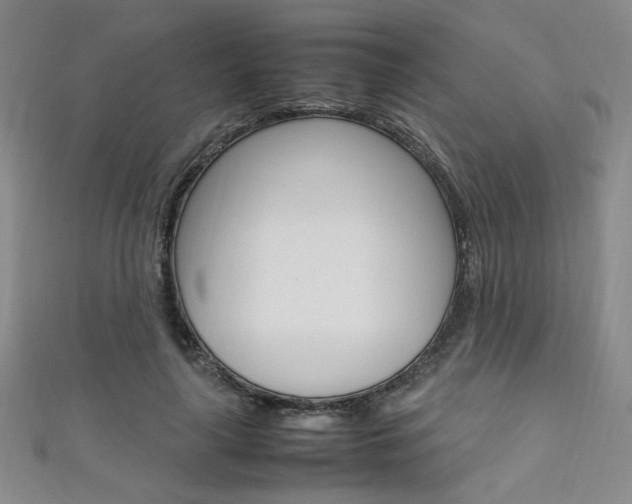 X0000111650643200907171059