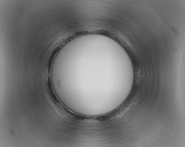 X0000111650644200907171100
