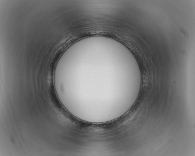 X0000111650648200907171100