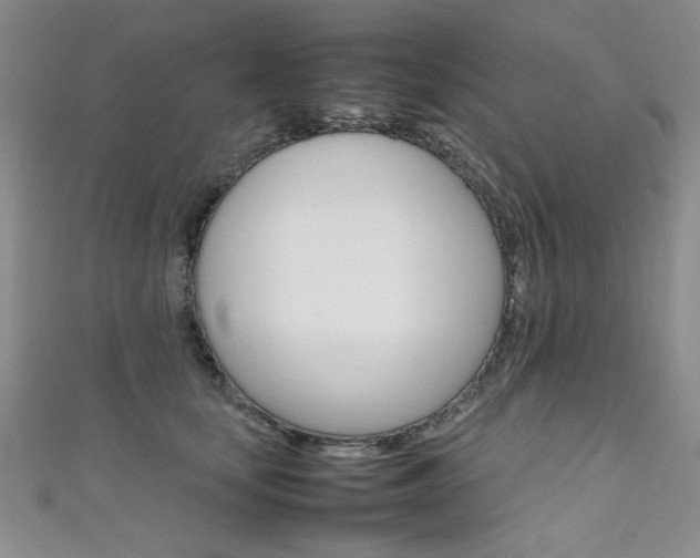 X0000111650659200907171100