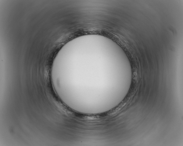 X0000111650662200907171100
