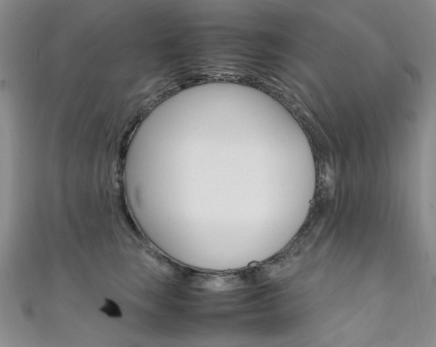 X0000111650663200907171100