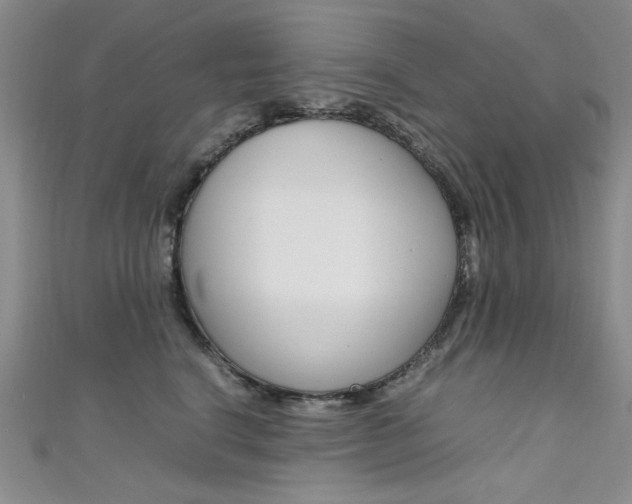 X0000111650664200907171100