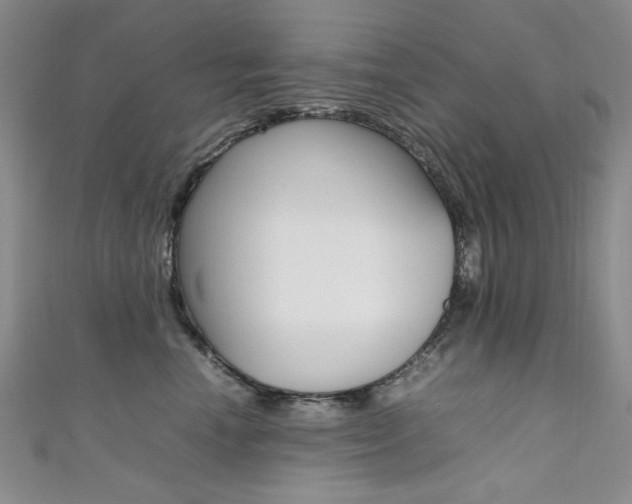X0000111650666200907171100