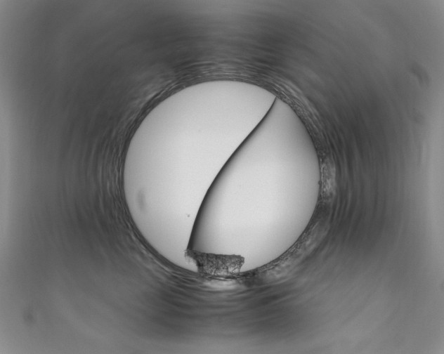 X0000111650669200907171100