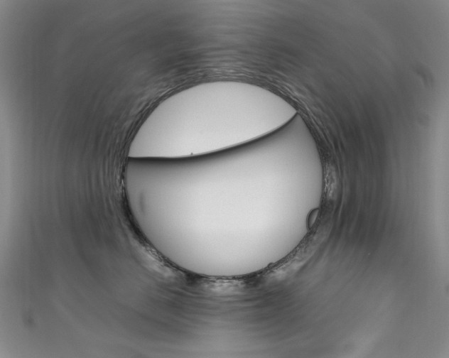 X0000111650670200907171100