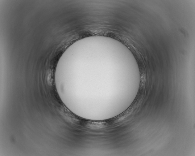 X0000111650671200907171100