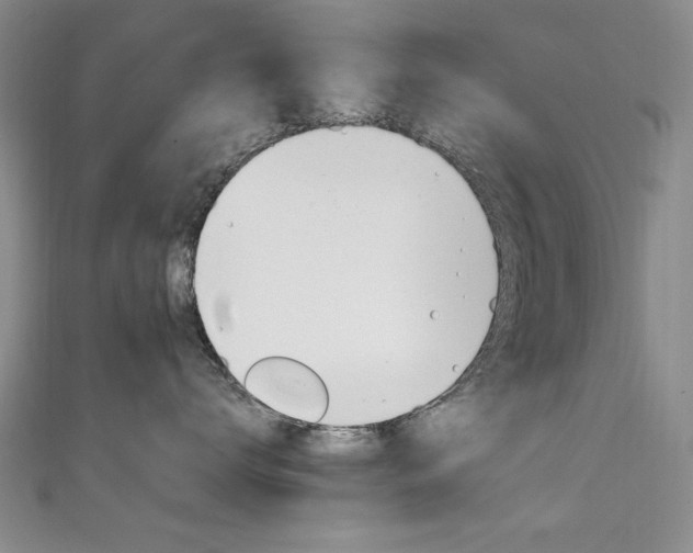 X0000111650672200907171100