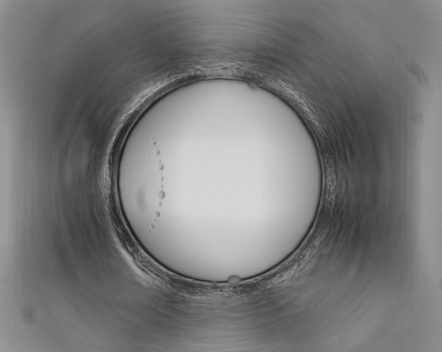 X0000111650674200907171059