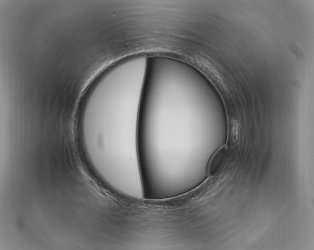 X0000111650676200907171059