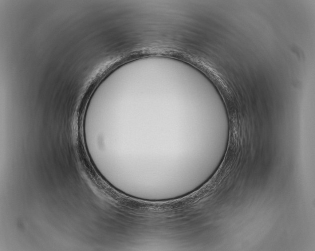 X0000111650678200907171059