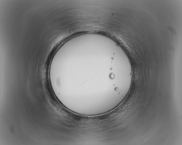 X0000111650679200907171059
