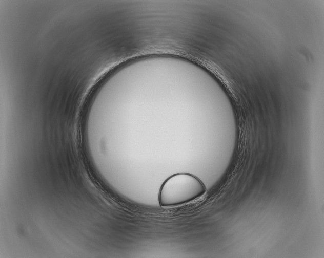 X0000111650680200907171059