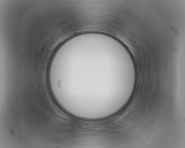 X0000111650681200907171059