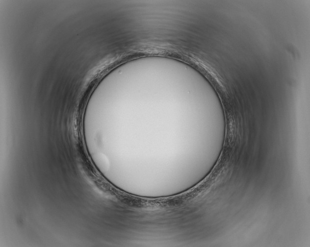 X0000111650682200907171059
