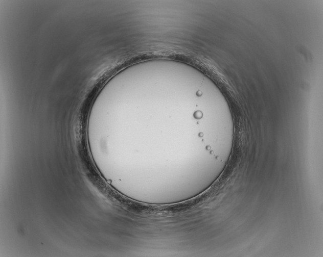 X0000111650683200907171059
