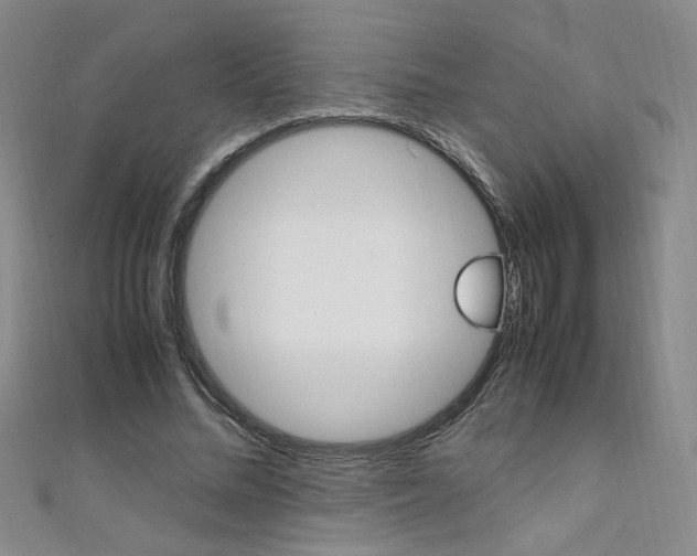 X0000111650684200907171059