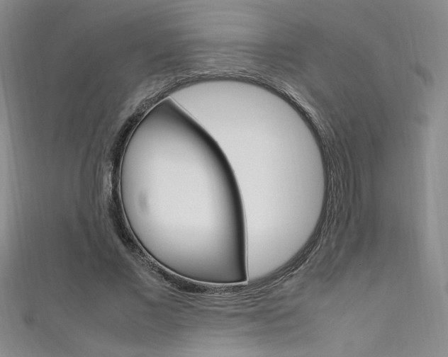 X0000111650685200907171059