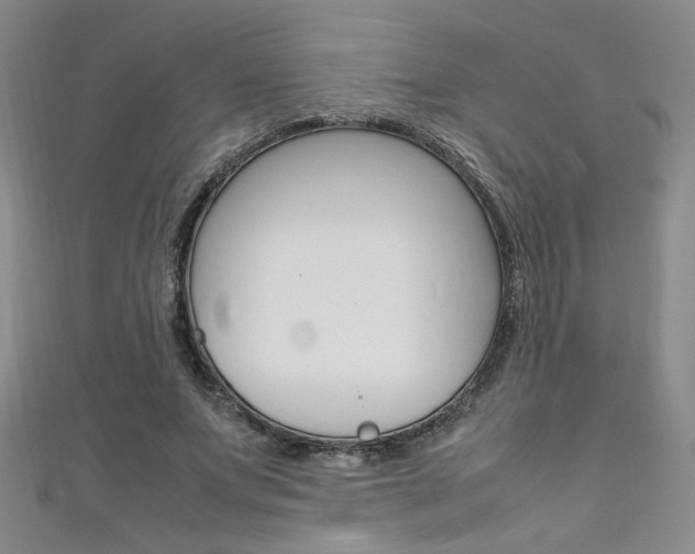 X0000111650687200907171059
