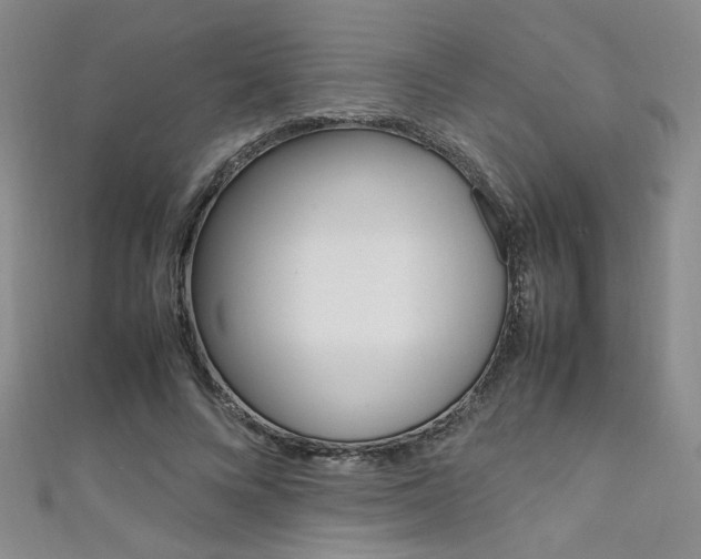 X0000111650688200907171059