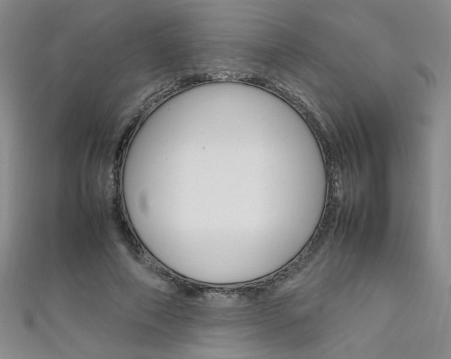 X0000111650690200907171059