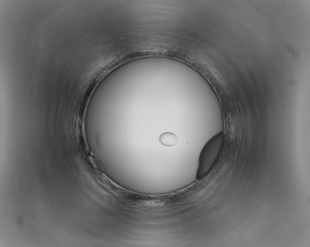 X0000111650692200907171059