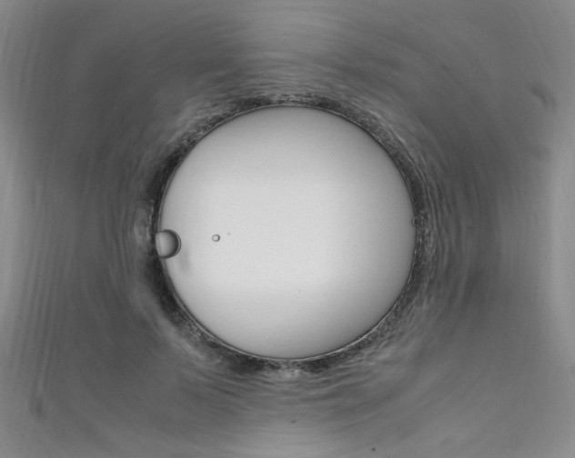 X0000111650695200907171059