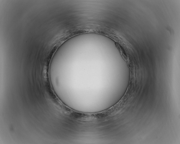X0000111650696200907171059