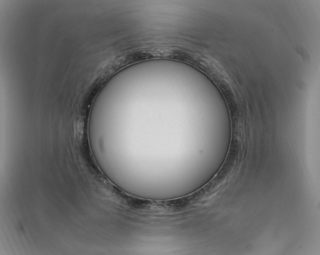 X0000111650697200907171059