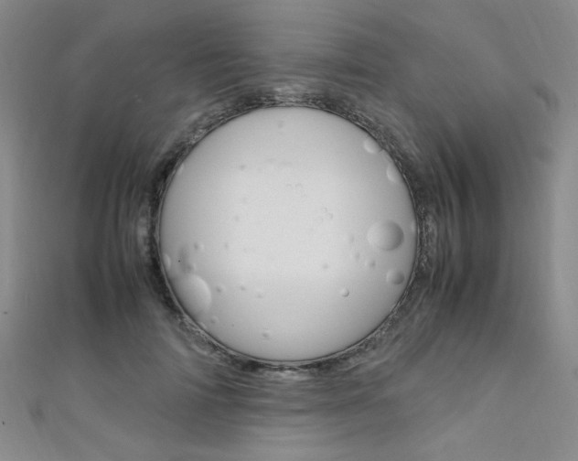 X0000111650698200907171059