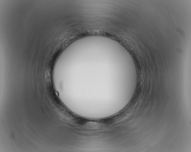 X0000111650699200907171059