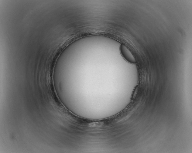 X0000111650700200907171059