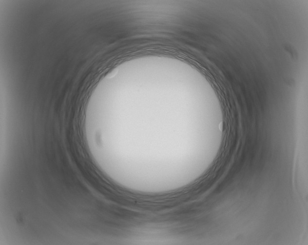 X0000111650701200907171059