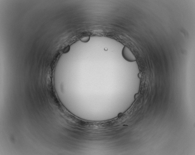 X0000111650702200907171059