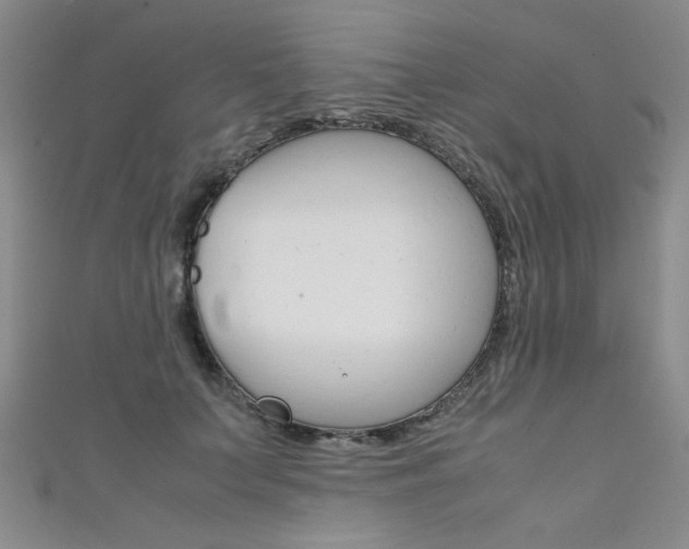 X0000111650703200907171059