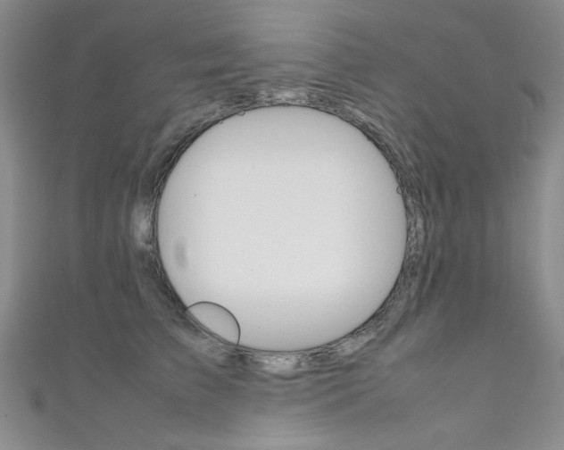 X0000111650709200907171059