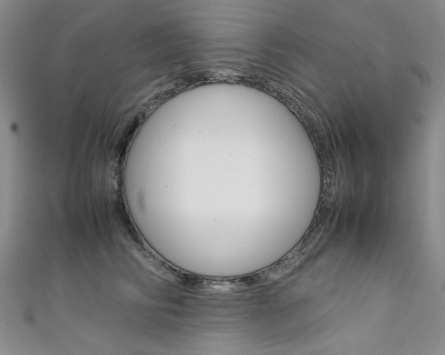 X0000111650710200907171059