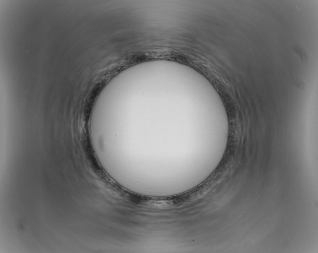 X0000111650711200907171059