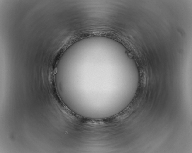 X0000111650712200907171059