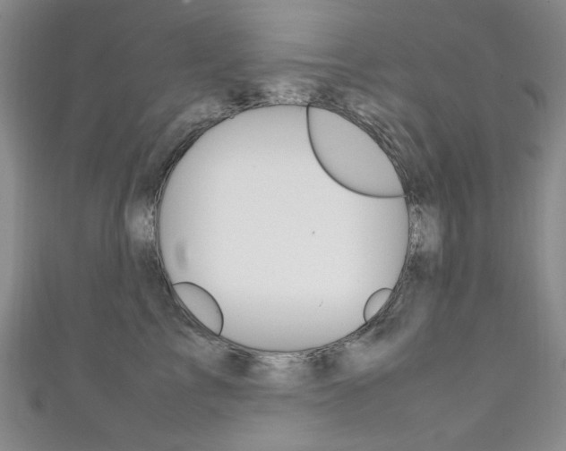 X0000111650713200907171059