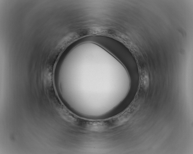 X0000111650716200907171059
