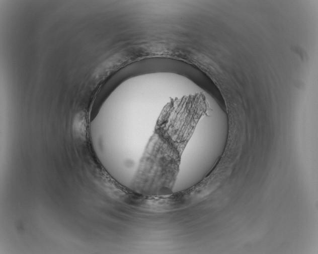 X0000111650720200907171059